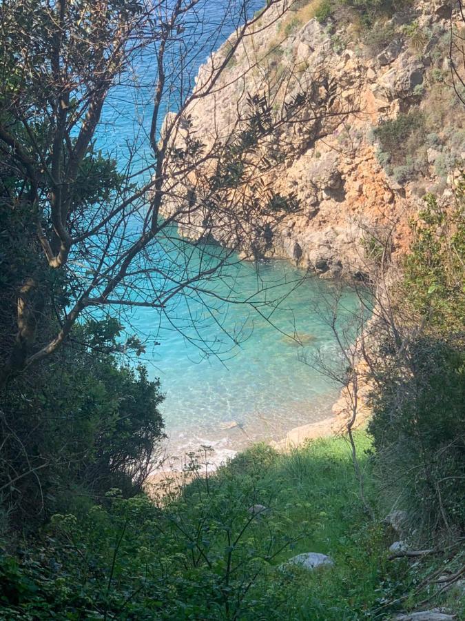 Parco Tasso Guest House Sorrento Esterno foto